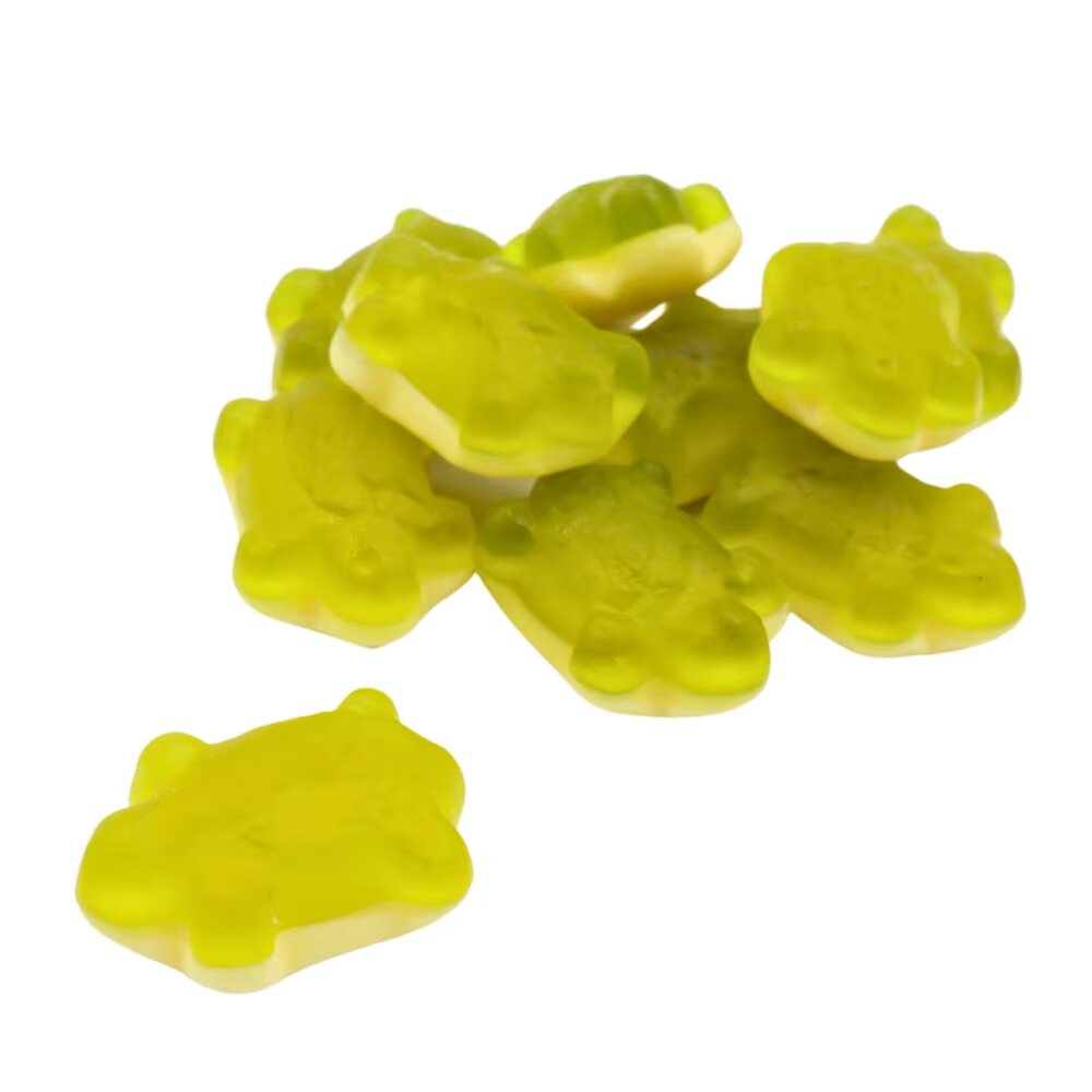 Haribo Terrific Turtles Bubblegum Flavour 480g